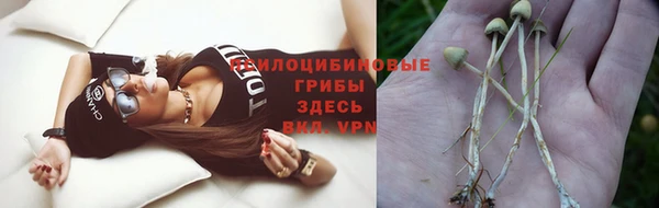 хмурый Саяногорск
