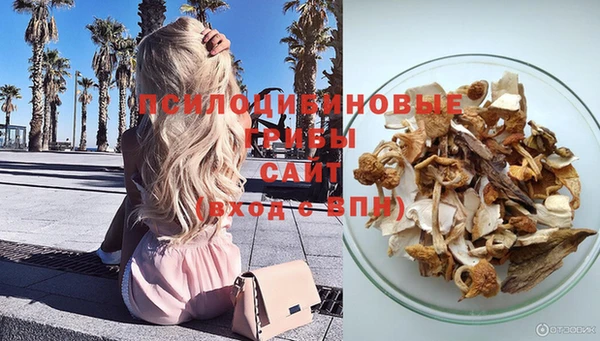 хмурый Саяногорск