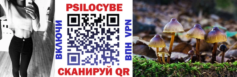купить   Касимов  Галлюциногенные грибы мухоморы 